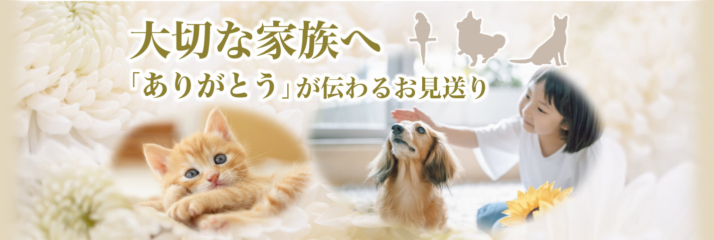 大切なペットへ「ありがとう」が伝わるお見送り